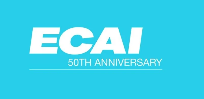 One paper has been accepted in ECAI 2024