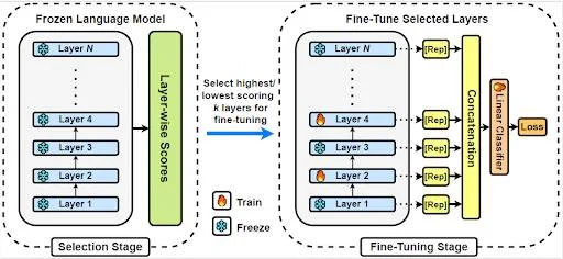 Training-Free Layer Selection for Partial Fine-Tuning of Language Models