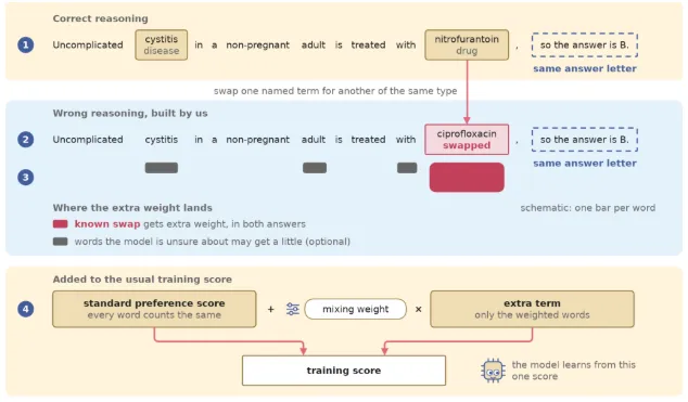 Where the Preference Signal Lives: Constructed Negatives, Token Weighting, and Why Confidence Misses the Decisive Tokens