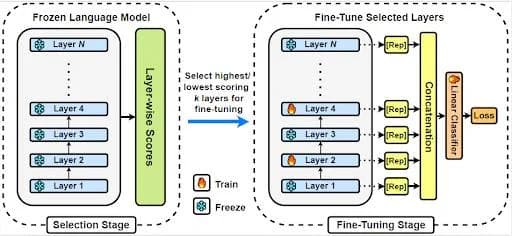 Training-Free Layer Selection for Partial Fine-Tuning of Language Models