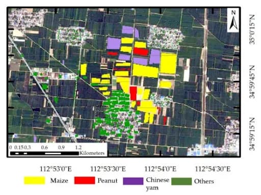 Crop Identification and Yield Estimation using SAR Data