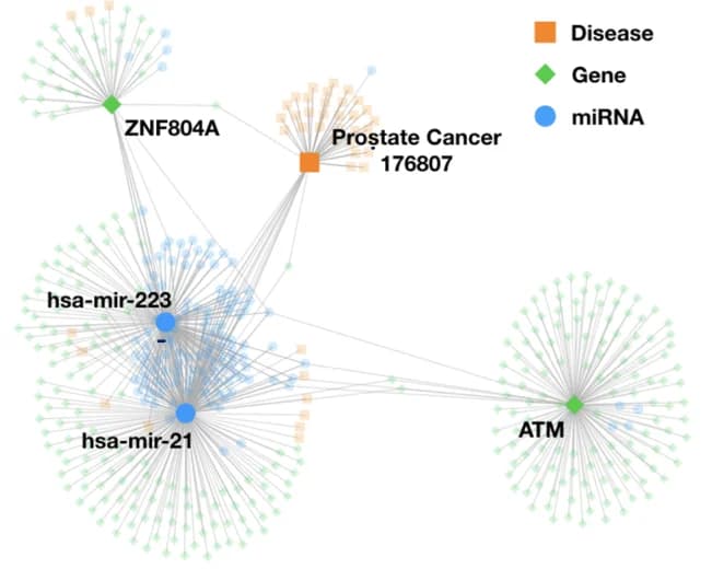 Predicting Association Between Entities in Heterogeneous Biological Networks